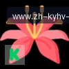 开云app logo