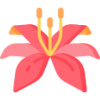 开云app logo